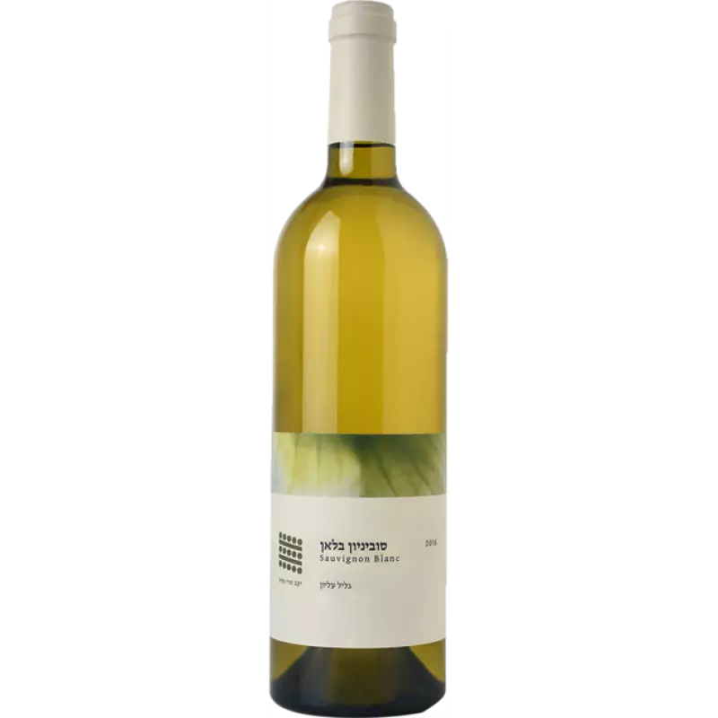 Galil Mountain Winery (יקב הרי גליל) Sauvignon Blanc 2017