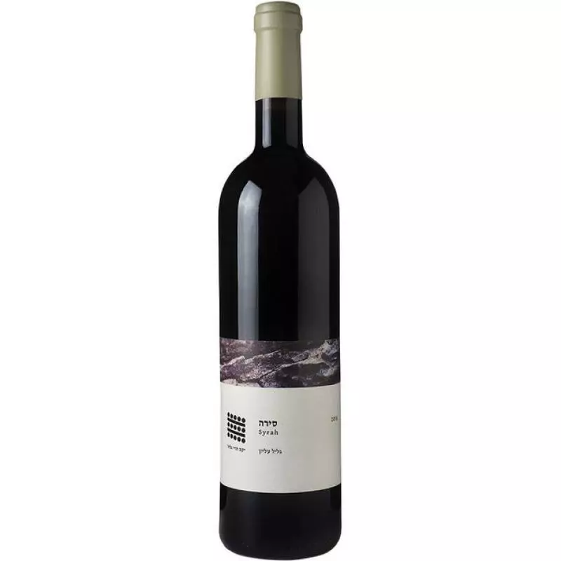 Galil Mountain Winery (יקב הרי גליל) Syrah 2019