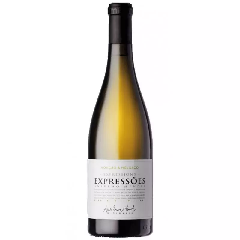 Anselmo Mendes Expressoes 2017