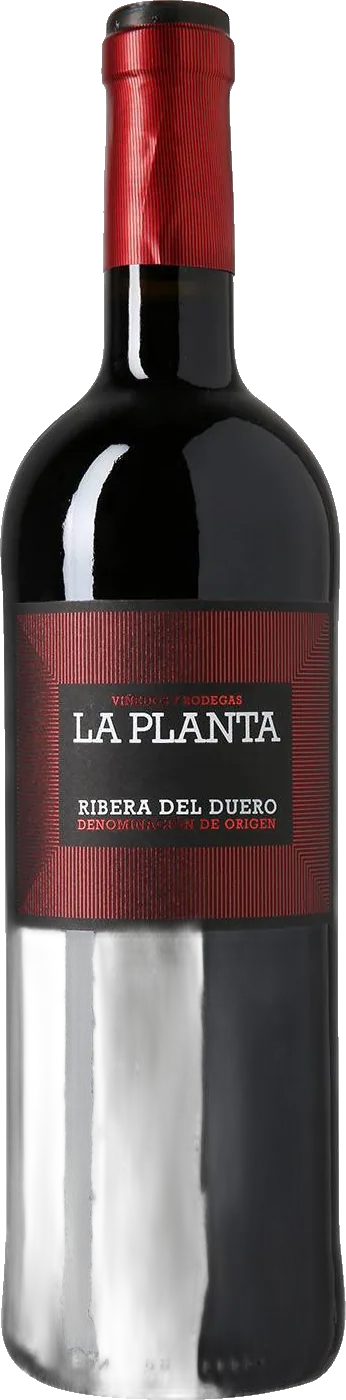 Arzuaga La Planta