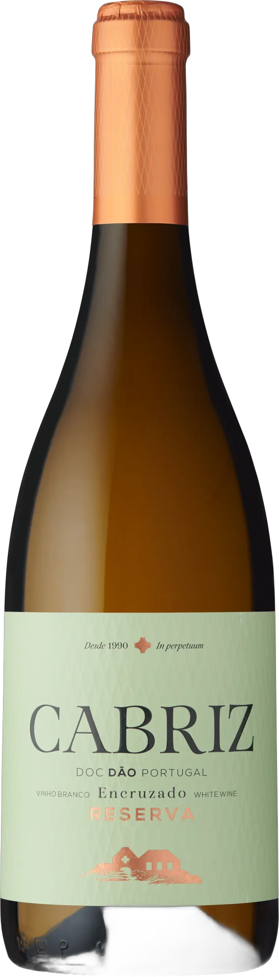Cabriz Dao Encruzado Reserva Branco