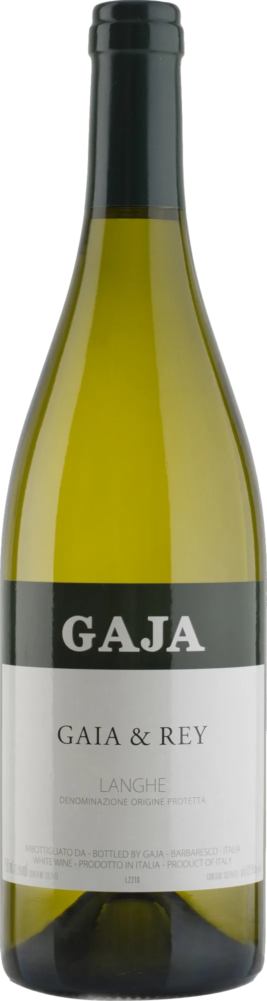 Gaja Gaia & Rey