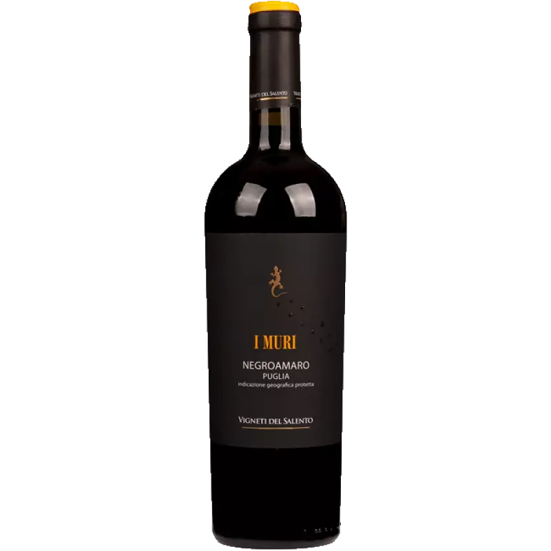 Vigneti del Salento Negroamaro I Muri 2019