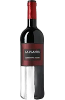 Arzuaga La Planta