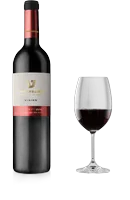 Teperberg Vision Malbec