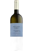 Trentino Bottega Vinai Pinot Grigio