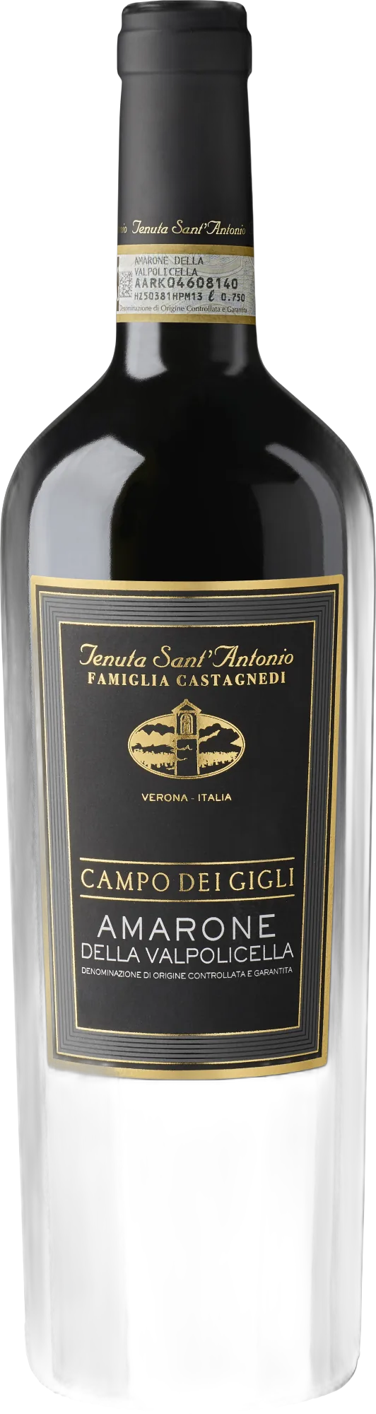 Tenuta Sant Antonio Campo dei Gigli Amarone della Valpolicella