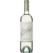 Pato Frio Antão Vaz 2017