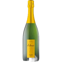 Cellers de L'Arboc Cava d'Arciac Seleccio Brut