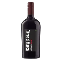 Corvezzo Terre di Marca Merlot Biologico