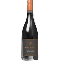 Domaine Saint-Andre Folie d' Ines Rouge