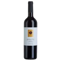 Enate Reserva Cabernet Sauvignon