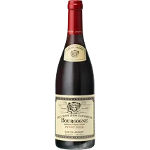 Louis Jadot Bourgogne Pinot Noir