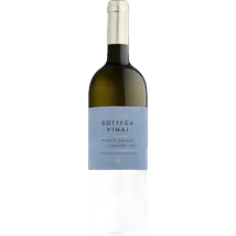 Trentino Bottega Vinai Pinot Grigio
