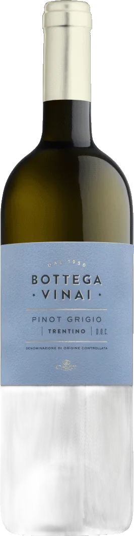 Trentino Bottega Vinai Pinot Grigio